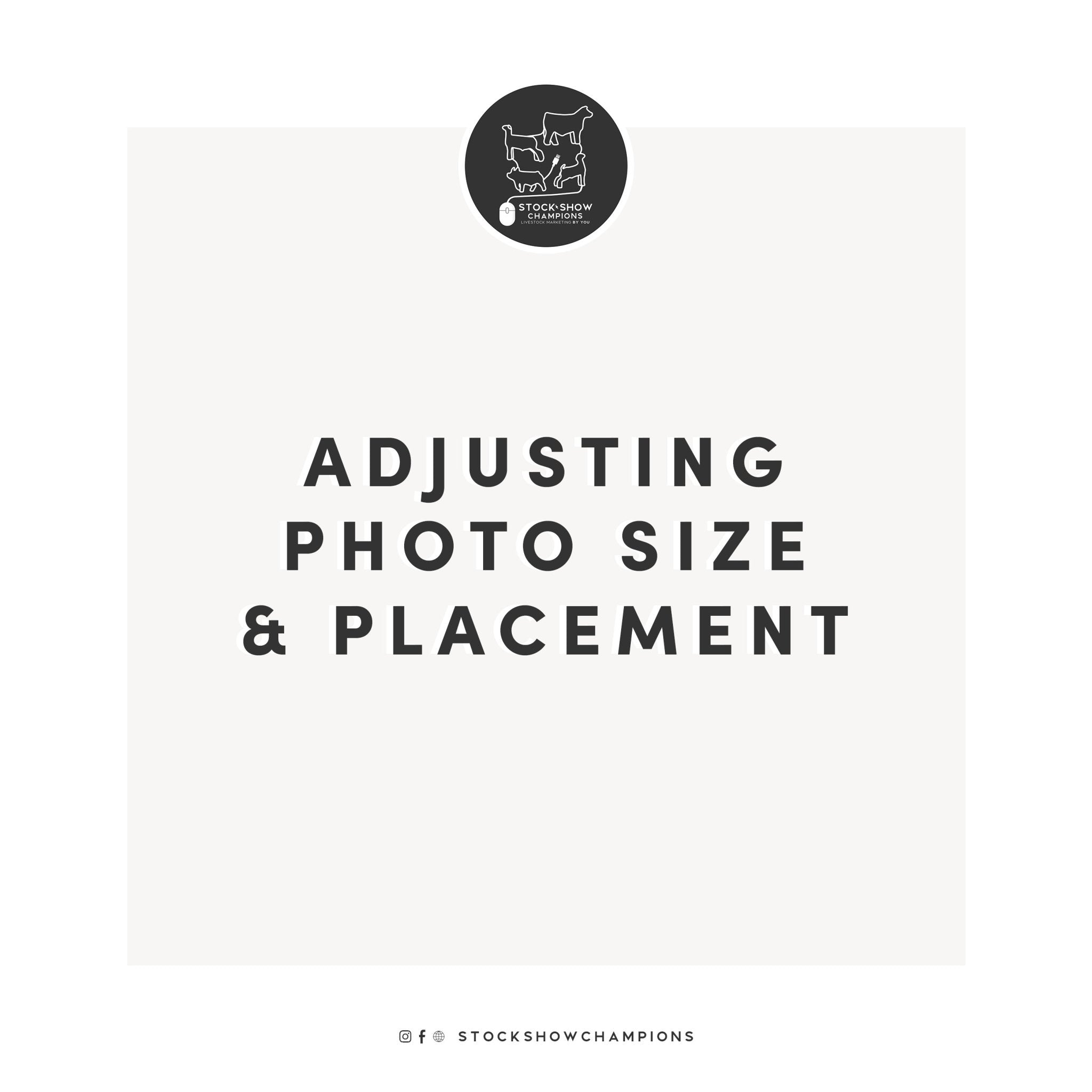 Adjusting photo size & placement - Livestock & Co.