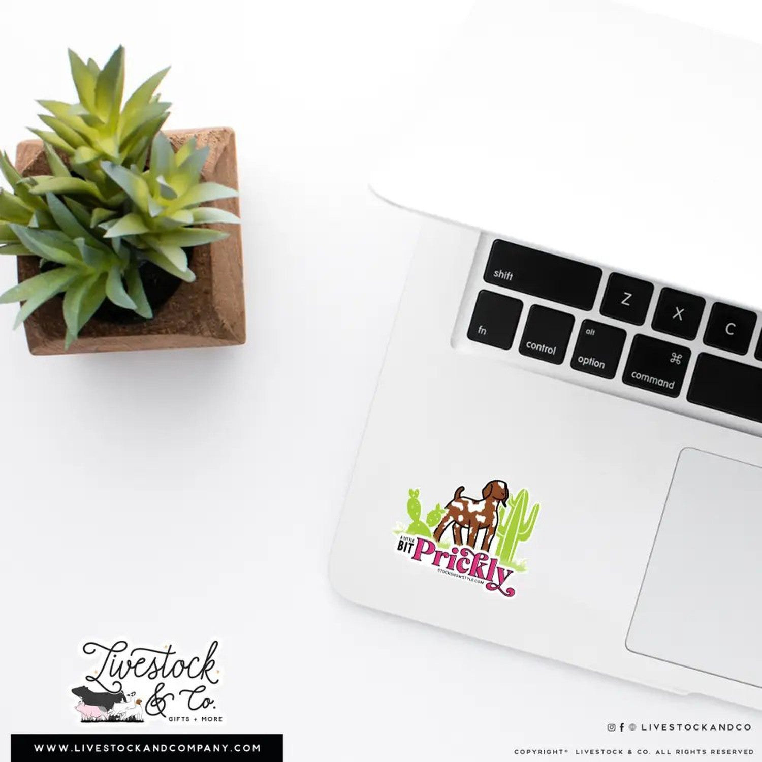 Custom Made Prickly Livestock Stickers Stock Show Livestock - Livestock & Co. Boutique