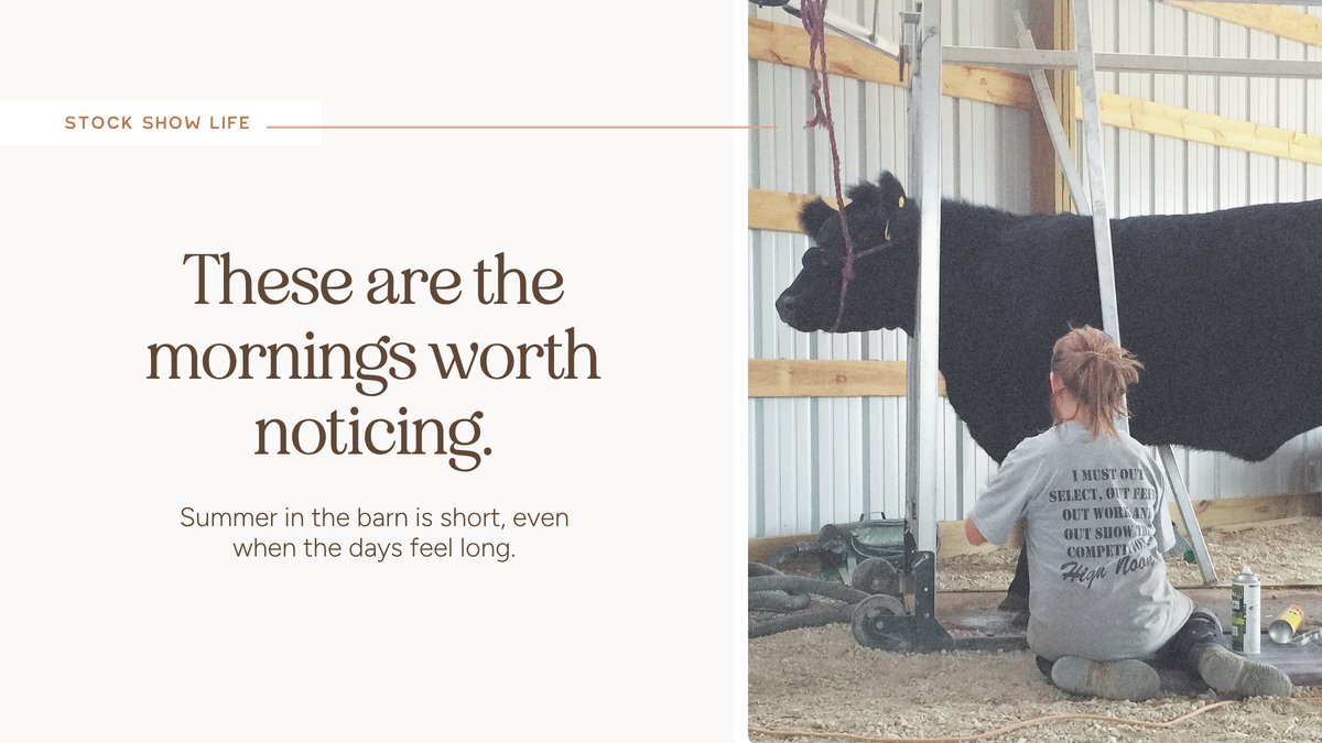The Best Kind of Busy: Why Summer in the Barn Is Worth Every Early Morning