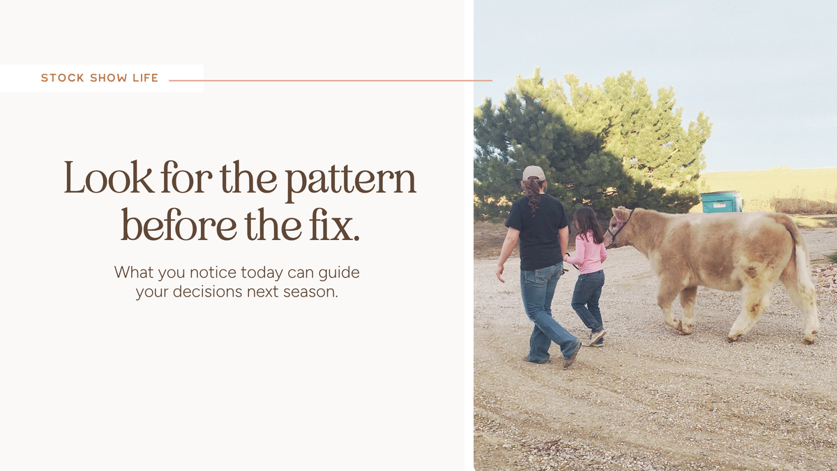 The Families Who Improve the Most Usually Notice the Most