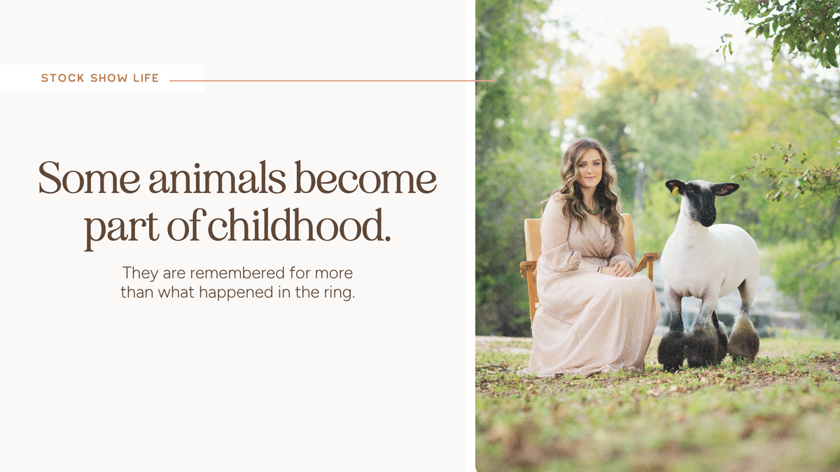 The Animal They’ll Always Remember
