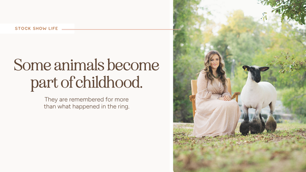 The Animal They’ll Always Remember