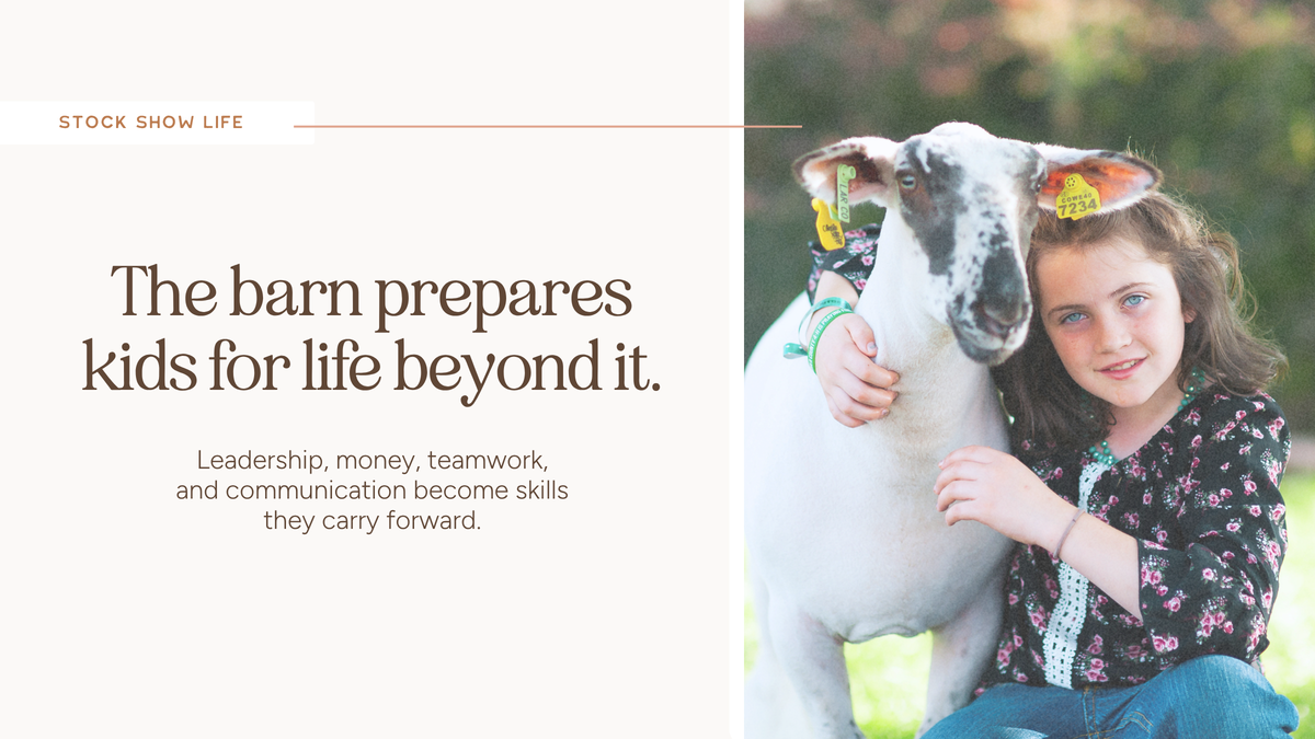 What Showing Livestock Teaches Kids?