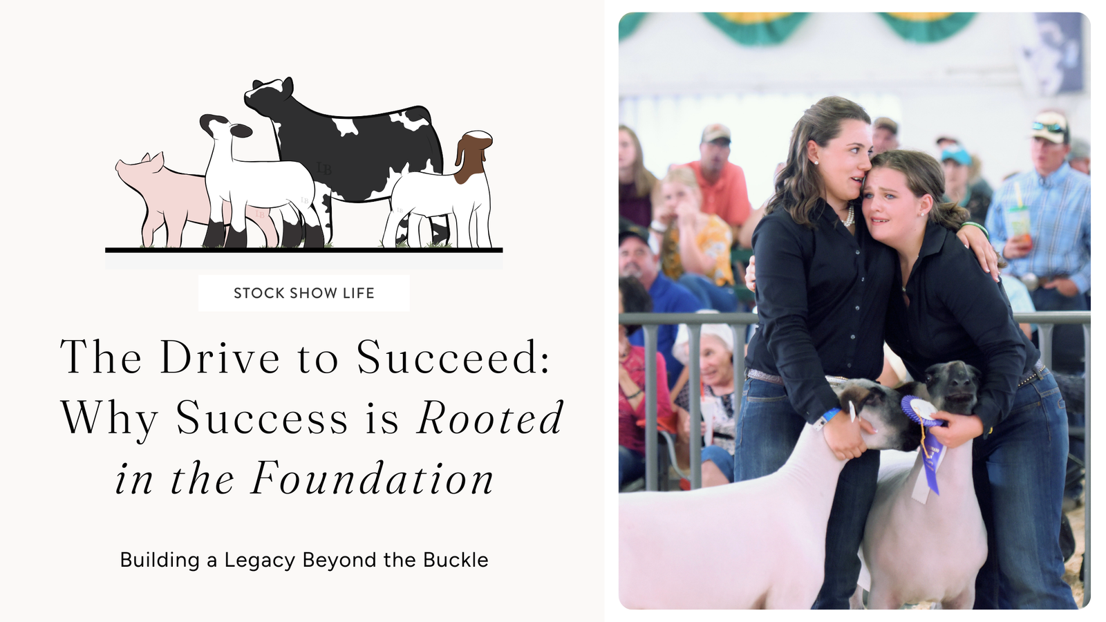 A young showman working with livestock in a clean barn setting, representing the drive to succeed and the foundation of purposeful care.