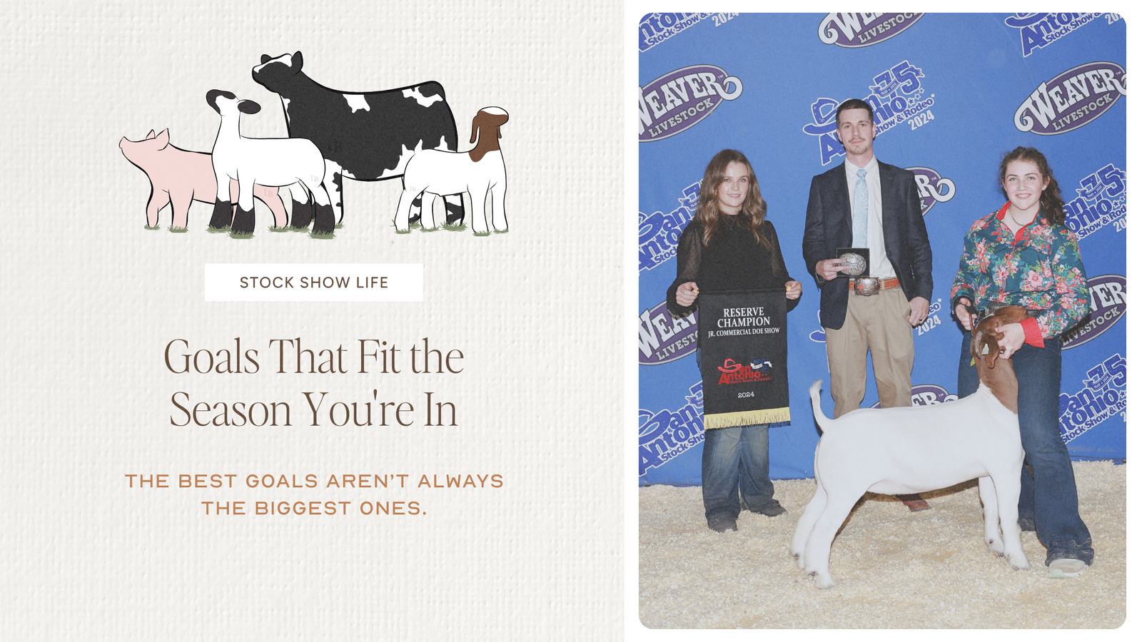 Realistic Livestock Goals That Fit Your Season