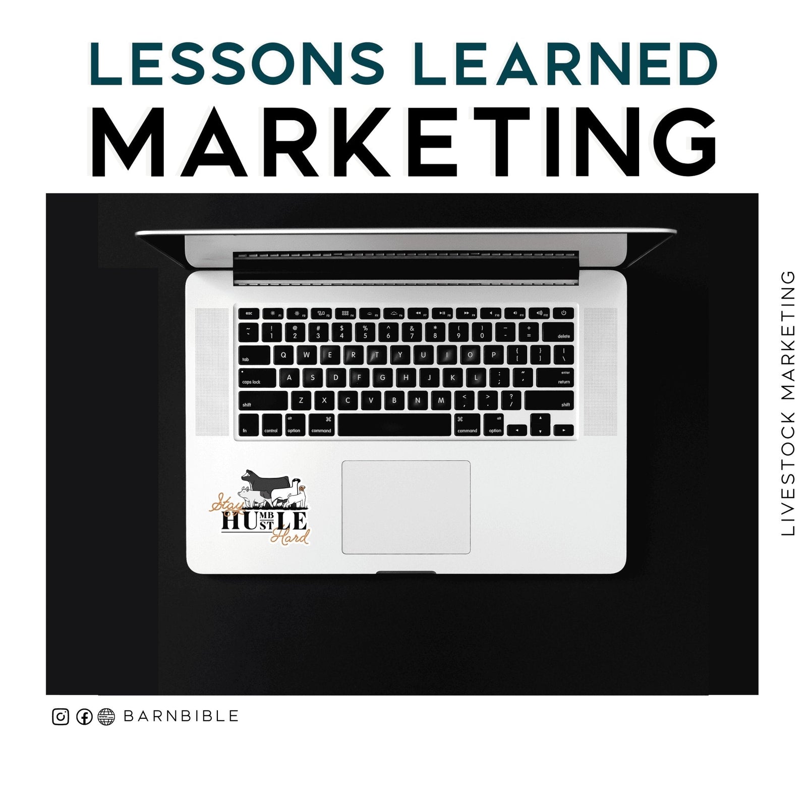 Lessons Learned in Marketing - Livestock & Co.