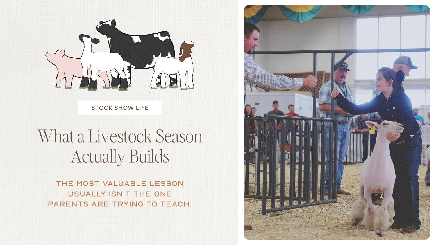 What a Livestock Season Actually Builds
