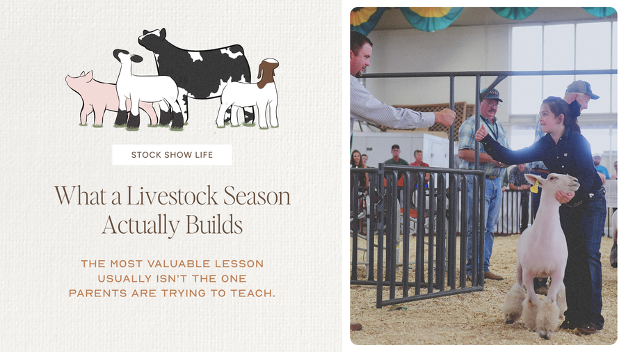 What a Livestock Season Actually Builds