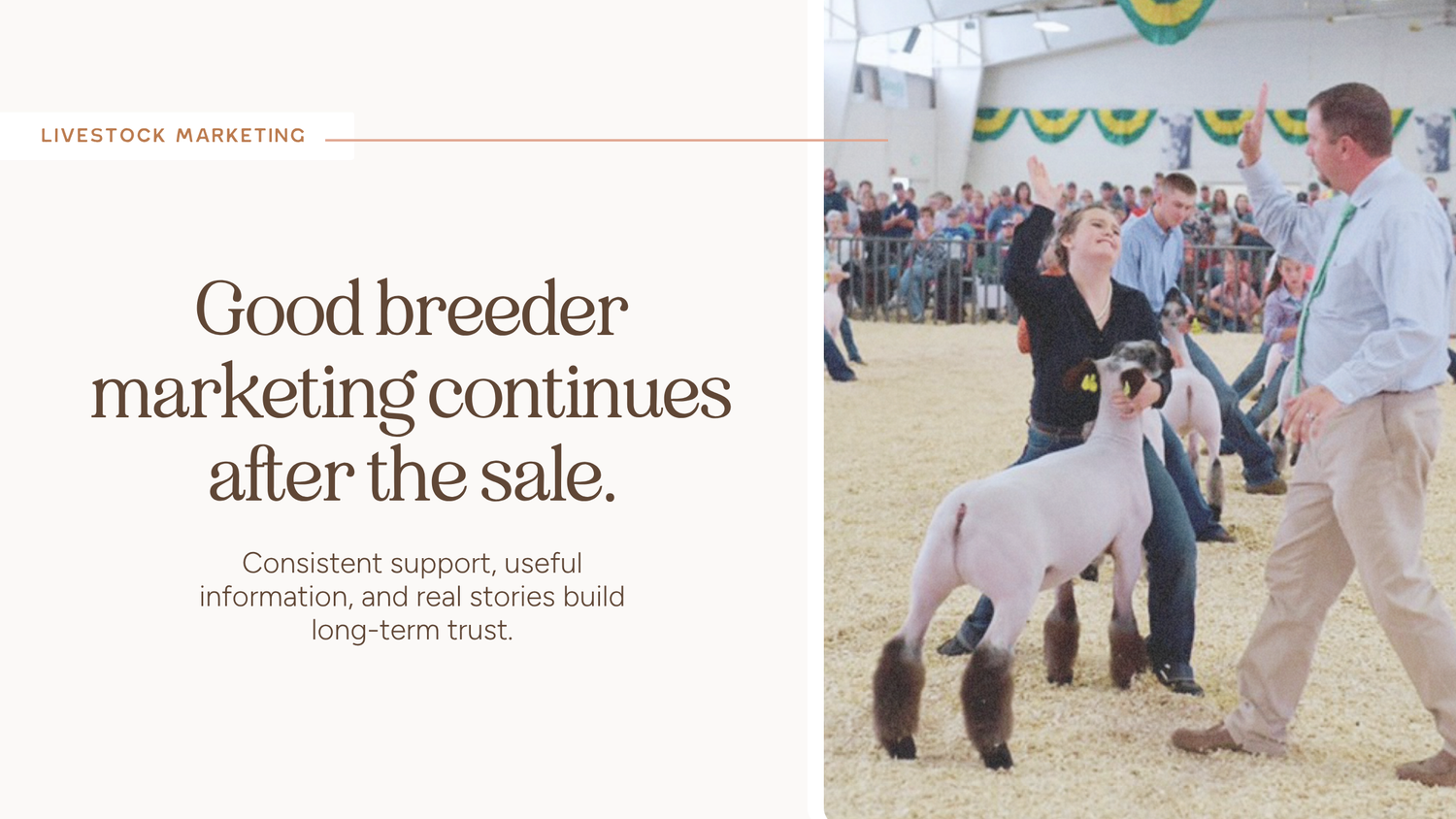 15 Marketing Wins for Breeders
