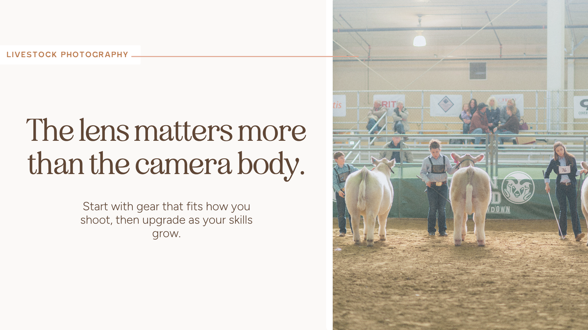 What I Photograph My Kids & Their Livestock With