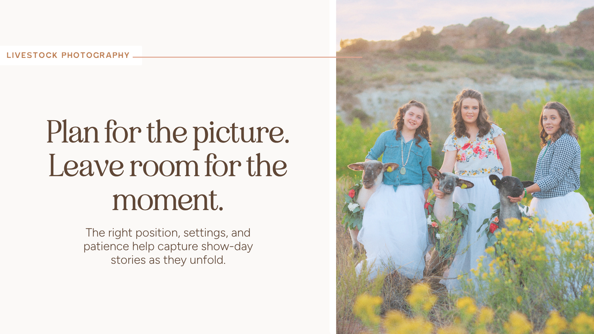 9 Tips for Taking Pictures at the Show