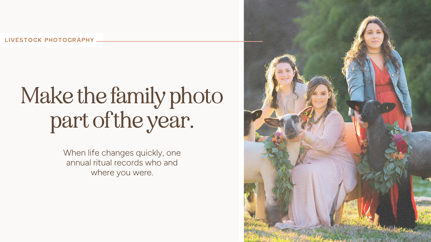 Family photos 2021