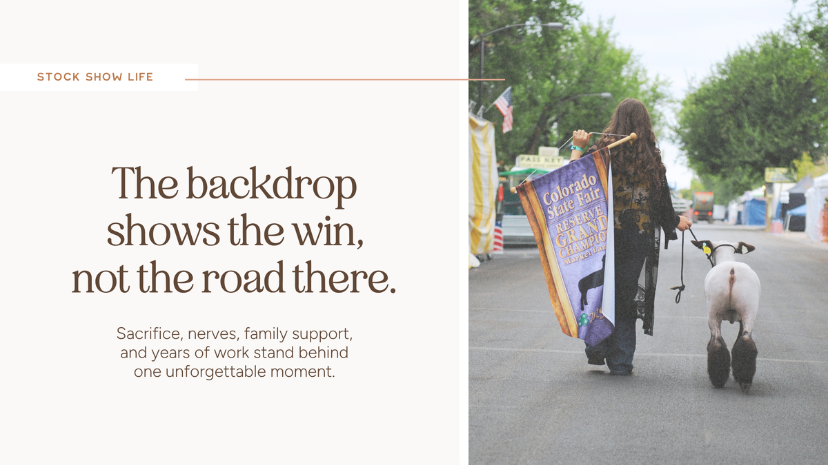 Road of a champion