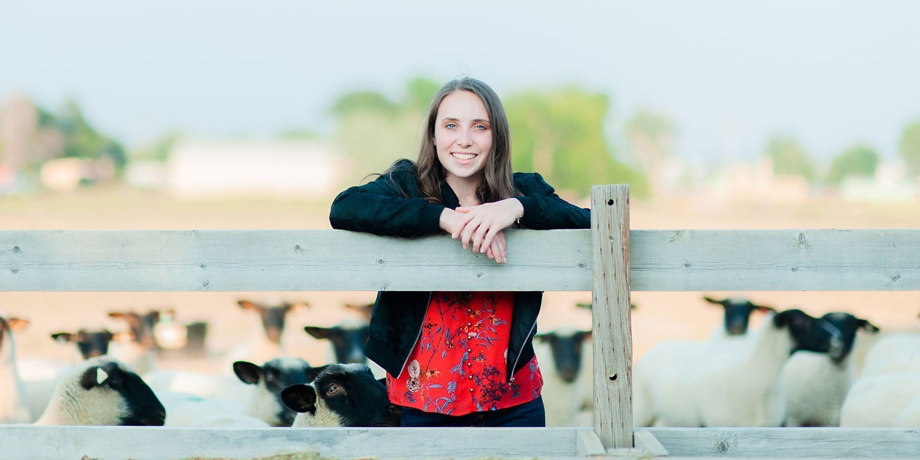 Senior Girl Livestock Session - Livestock & Co.
