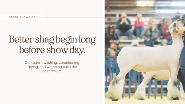 Got Shag? How you can improve your lamb's boots