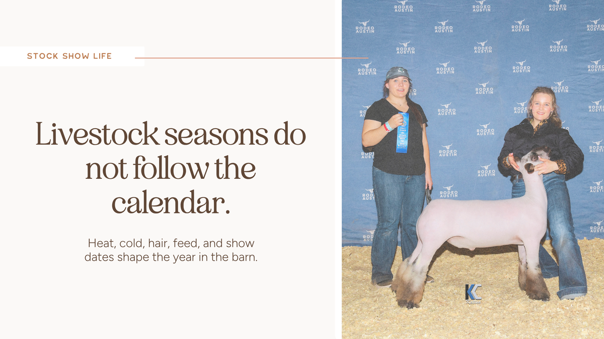 Stock Show Seasons
