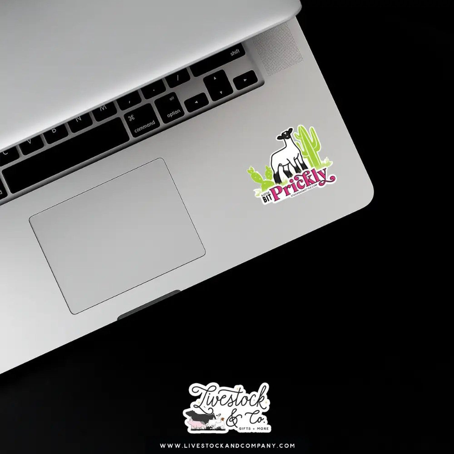 A Little Bit Prickly Stock Show Livestock Sticker