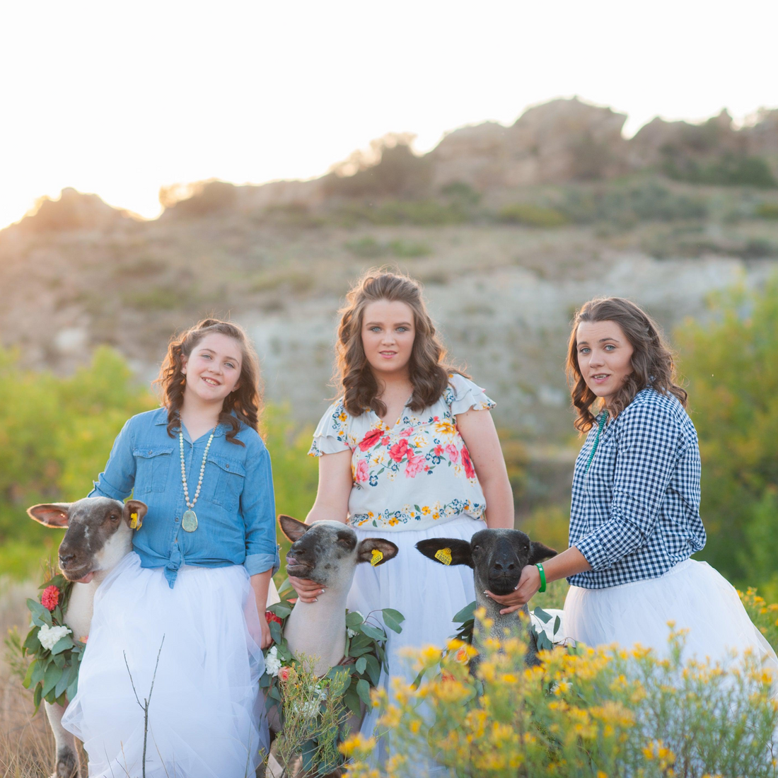 Meet Livestock Boutique