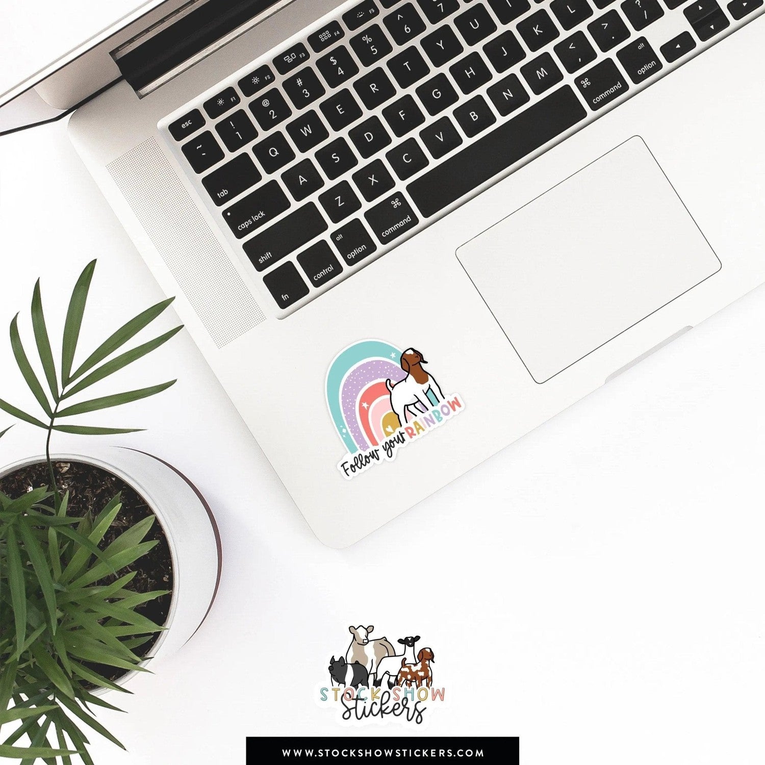 Follow Your Rainbow Stock Show Livestock Sticker