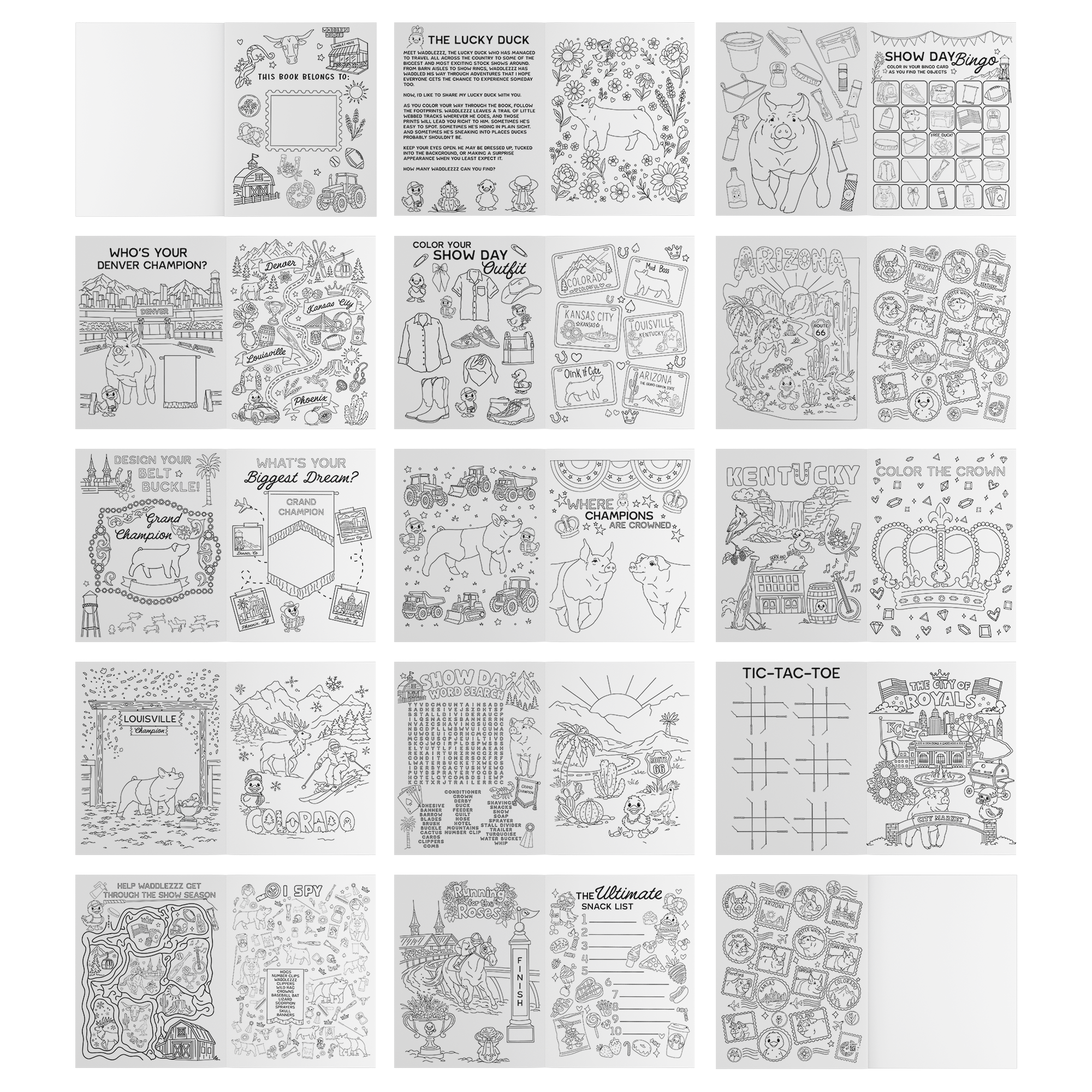 Hog_Coloring_Book_Layout_Mockup.png_15743305