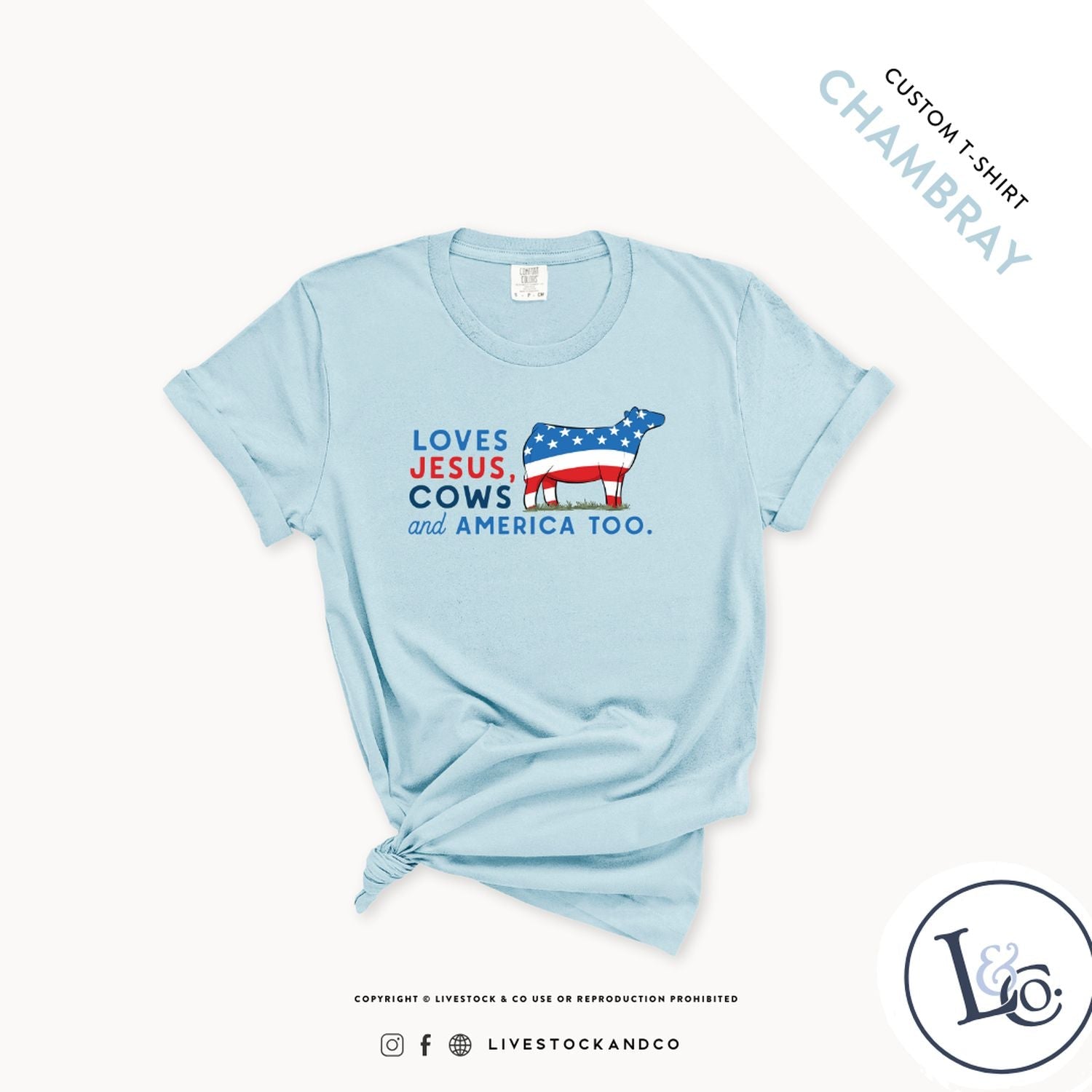 Loves Jesus, Cows & America Too Youth Cow T-Shirt