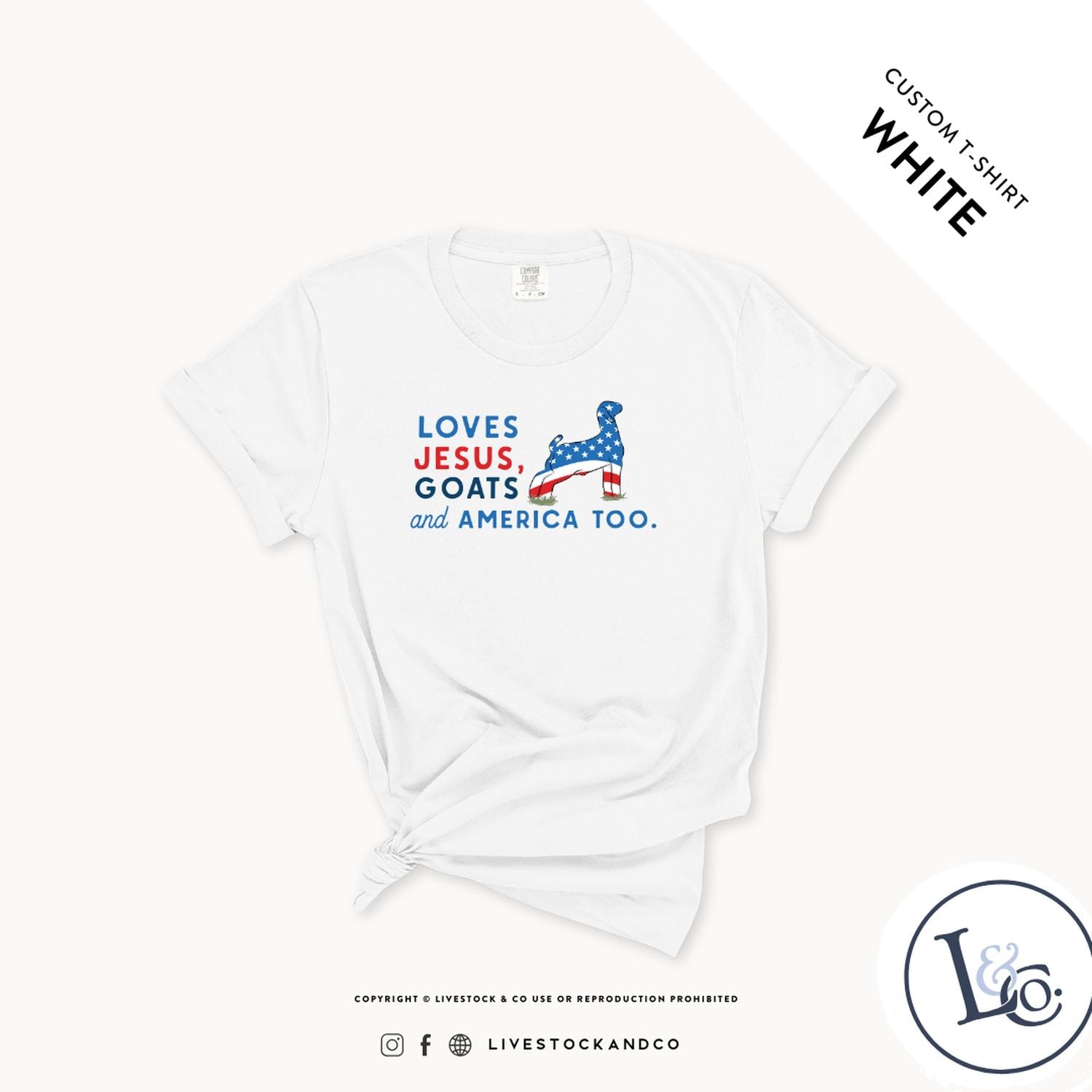 Loves Jesus, Goats & America Too Youth Goat T-Shirt