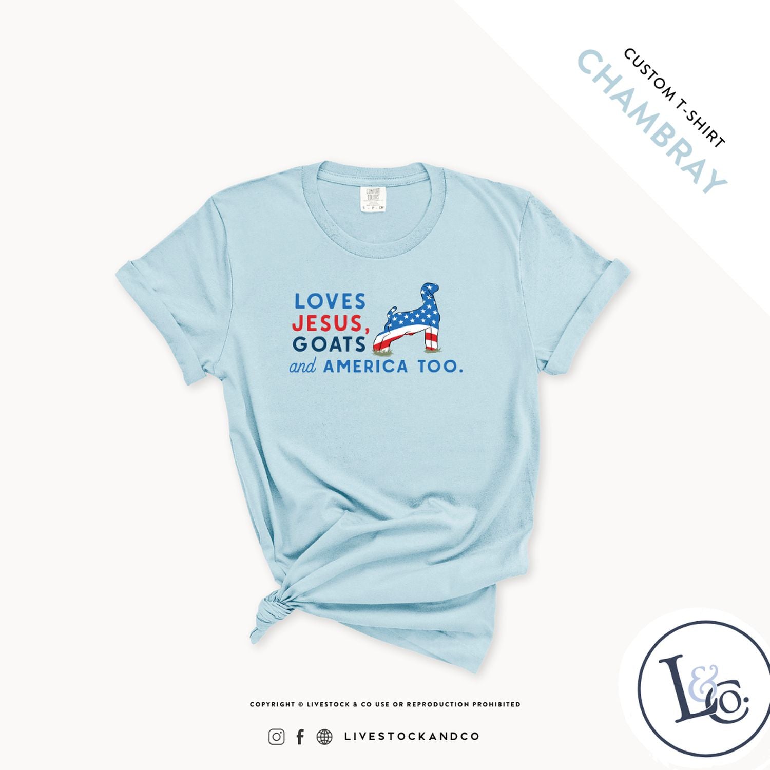 Loves Jesus, Goats & America Too Youth Goat T-Shirt