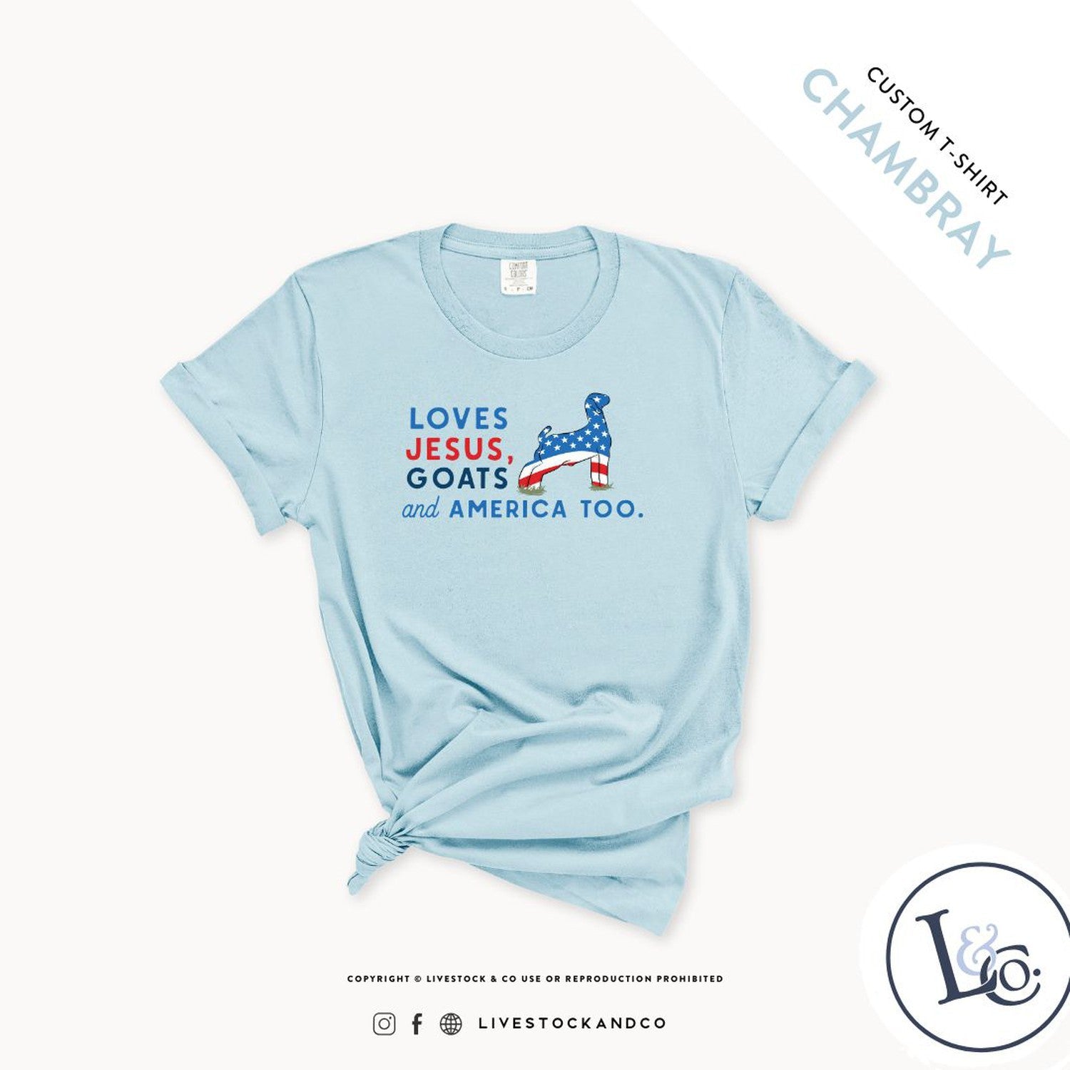 Loves Jesus, Goats and America Too - Adult T-Shirt