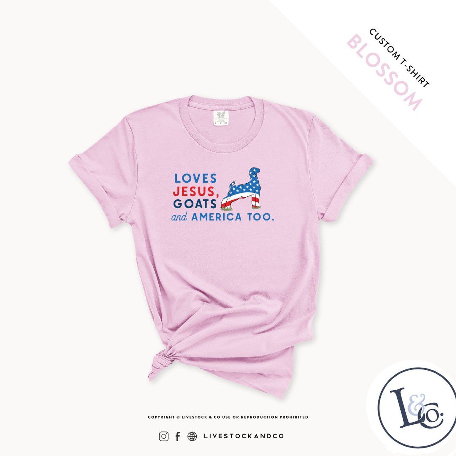Loves Jesus, Goats and America Too - Adult T-Shirt