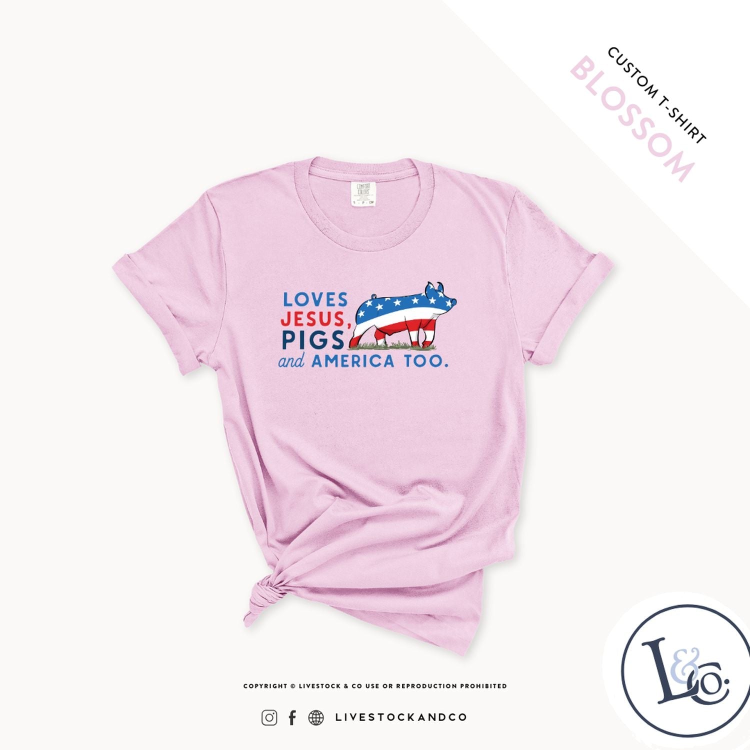 Loves Jesus, Pigs & America Too Youth Pig T-Shirt