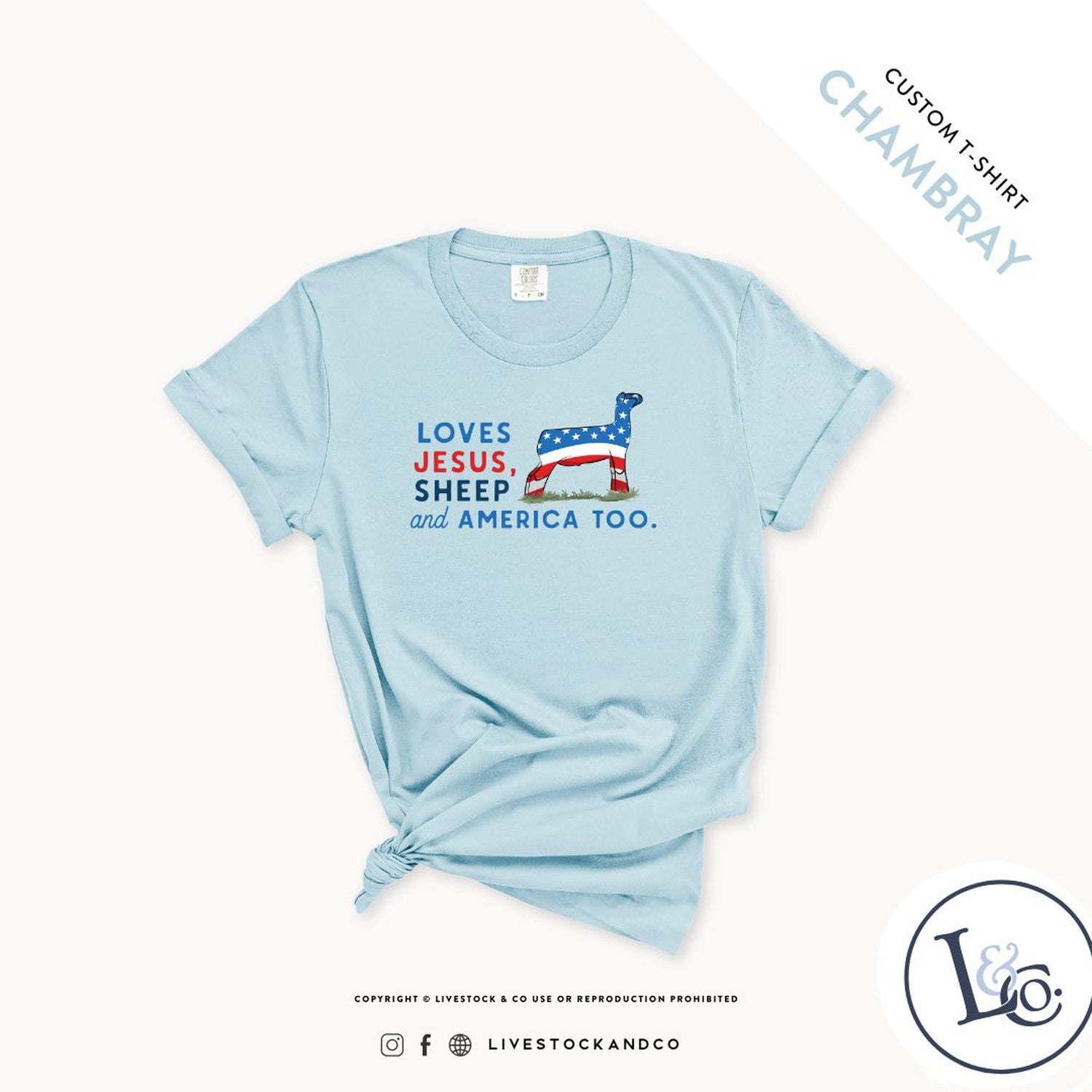 Loves Jesus, Sheep & America Too Youth Sheep T-Shirt