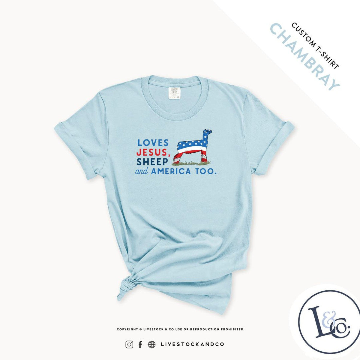 Loves Jesus, Sheep & America Too Youth Sheep T-Shirt