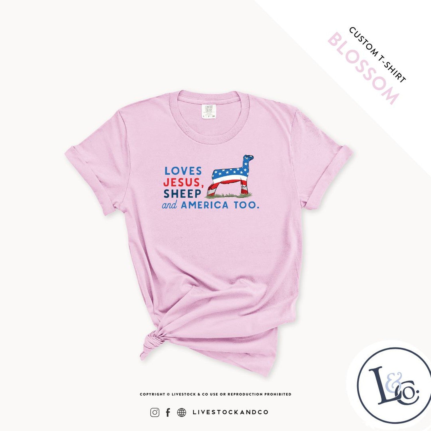 Loves Jesus, Sheep & America Too Youth Sheep T-Shirt