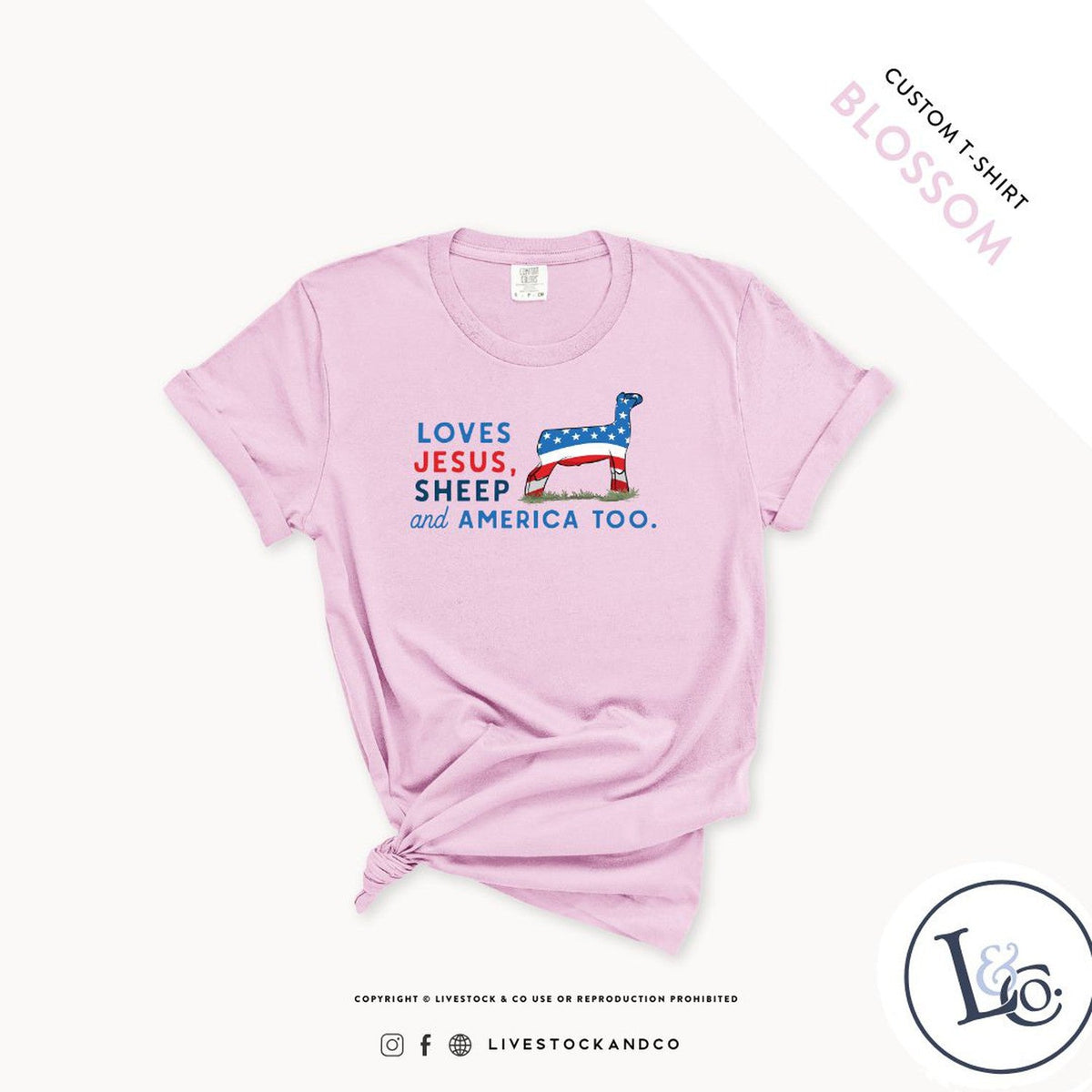 Loves Jesus, Sheep & America Too Youth Sheep T-Shirt