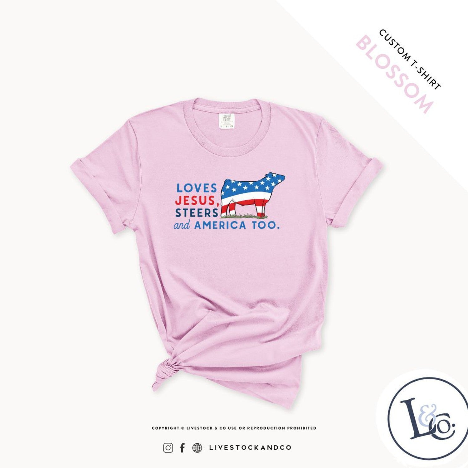 Loves Jesus, Steers & America Too Adult Steer T-Shirt