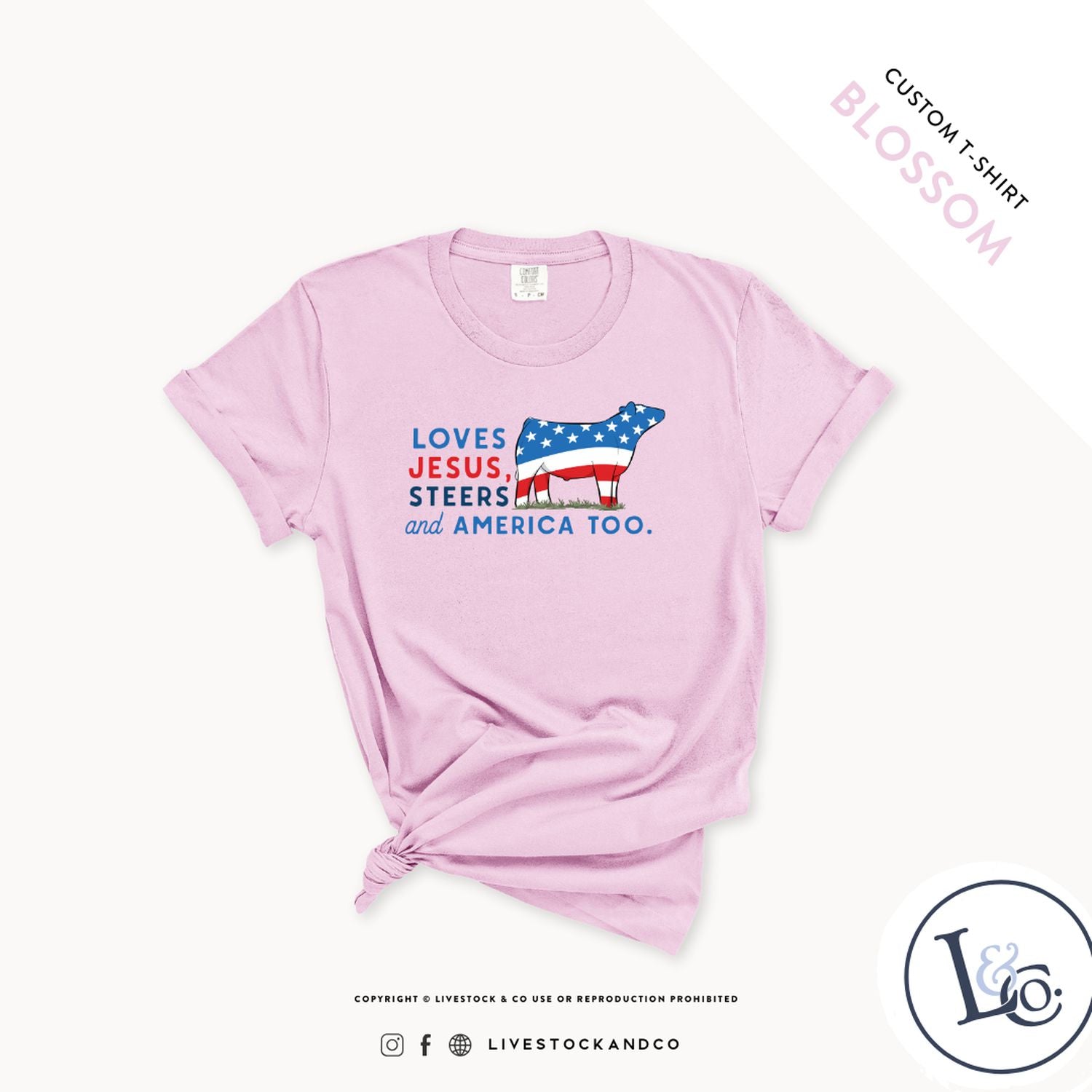 Loves Jesus, Steers & America Too Youth Steer T-Shirt