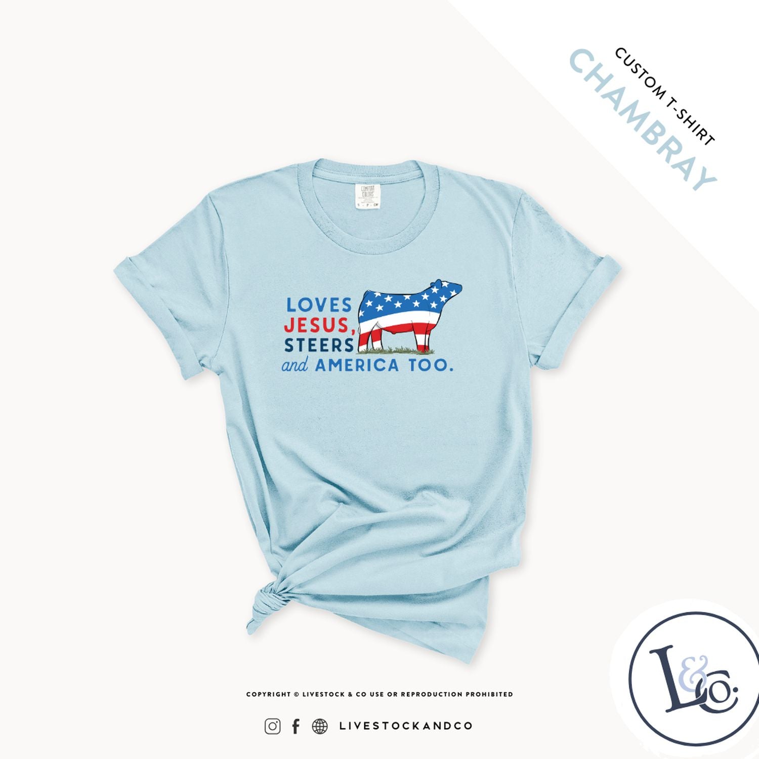 Loves Jesus, Steers & America Too Youth Steer T-Shirt