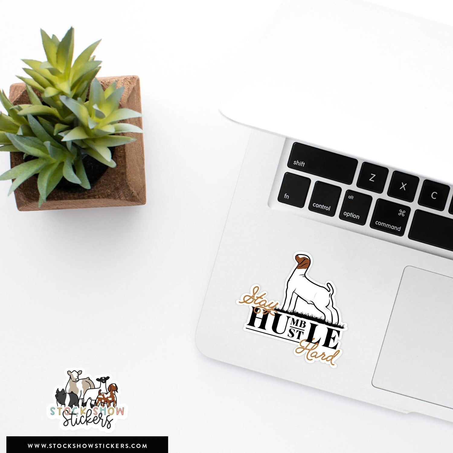 Stay Humble Hustle Hard Stock Show Livestock Sticker