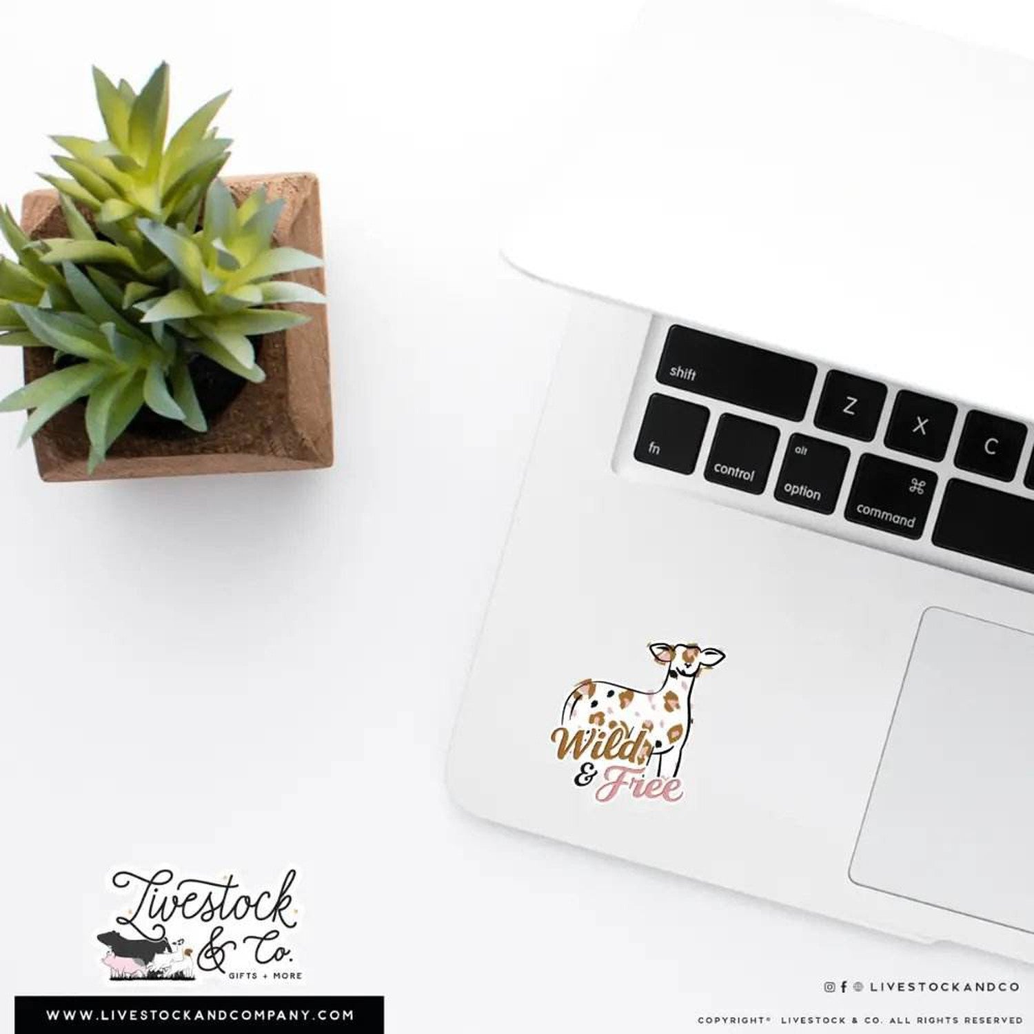 Wild & Free Stock Show Livestock Sticker