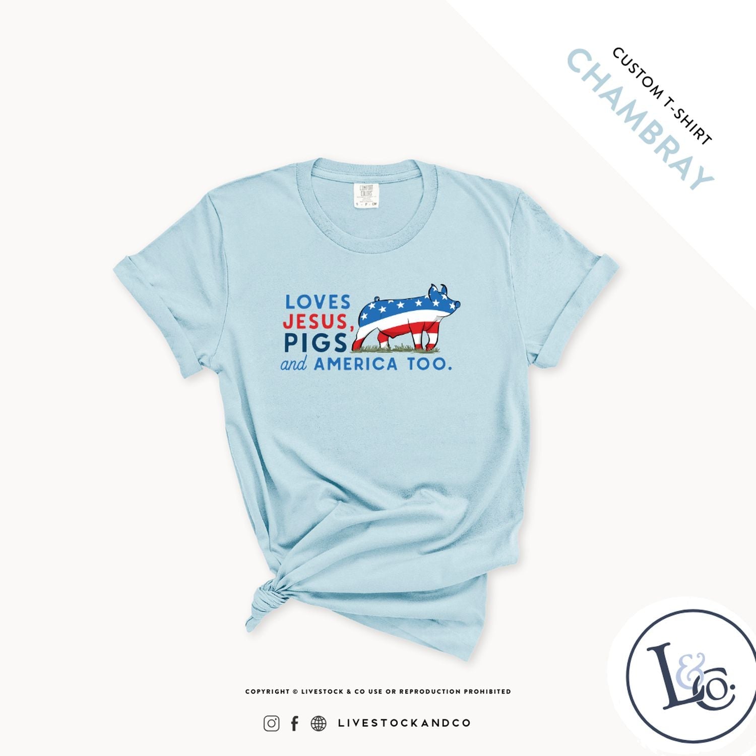Custom Made Loves Jesus, Pigs and America Too - Youth T-Shirt Stock Show Livestock - Livestock &amp; Co. Boutique