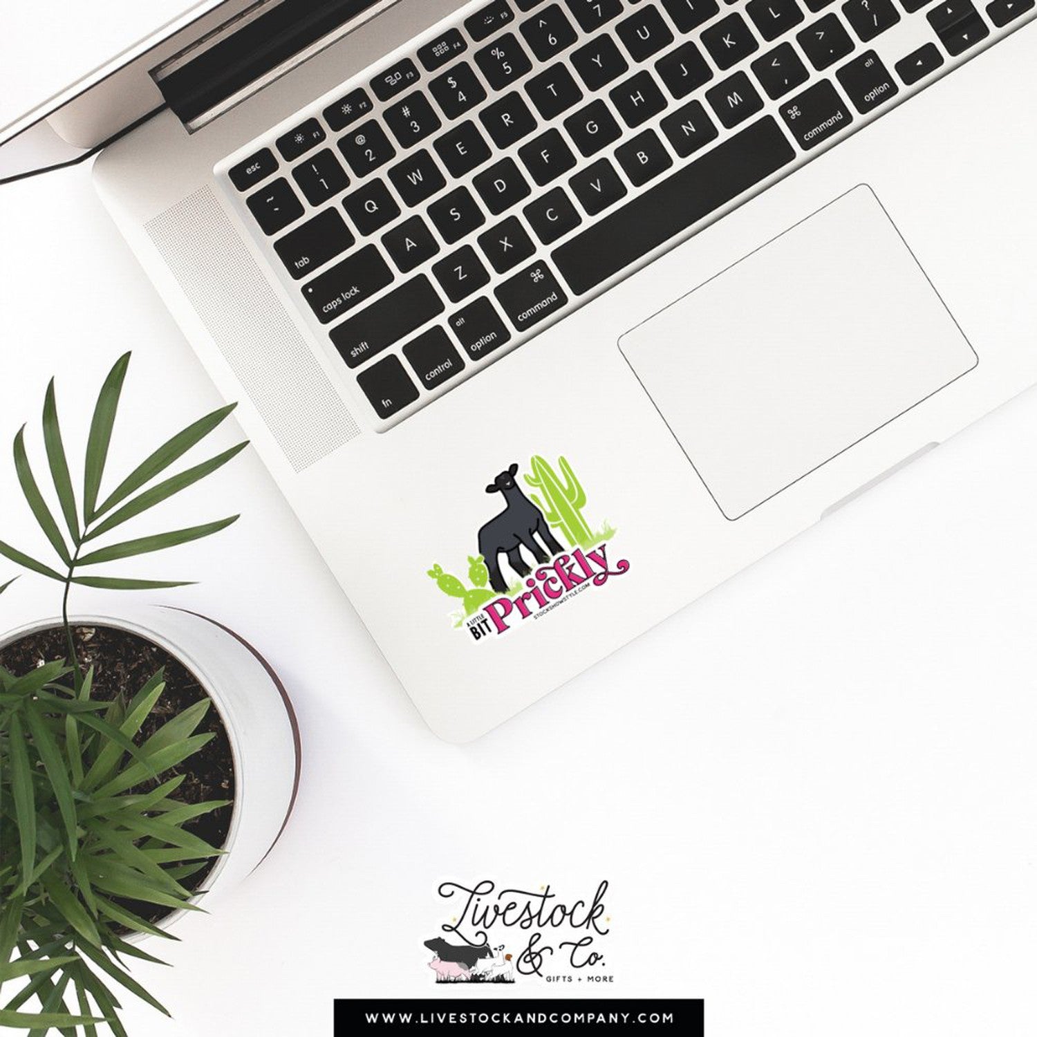 Custom Made Prickly Livestock Stickers Stock Show Livestock - Livestock &amp; Co. Boutique