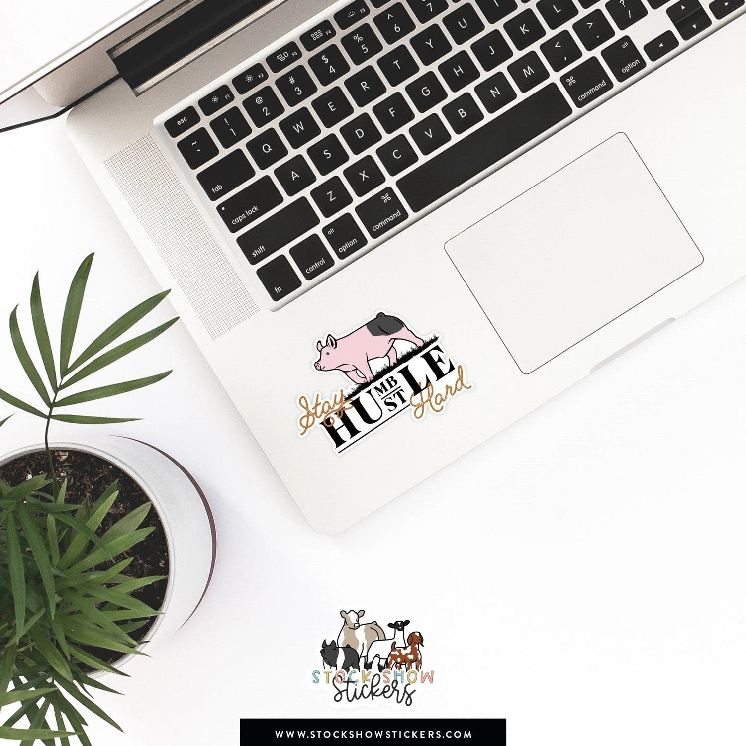 Custom Made Stay Humble Hustle Hard Livestock Stickers Stock Show Livestock - Livestock &amp; Co. Boutique